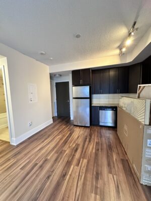 Dark cabinet contemporary kitchen and front door