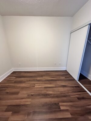 Empty room with beige walls and closet