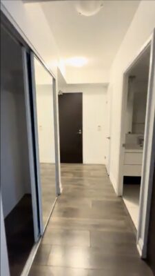 Corridor of front door and closet mirror doors and bathroom